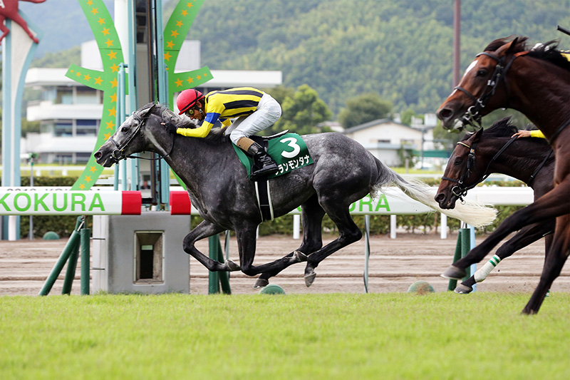 中央競馬全レース中継