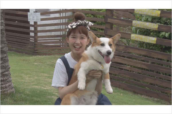 ワンダフルニャンダフル
