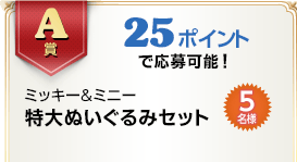 A賞 25ポイントで応募可能！　ミッキー＆ミニー 特大ぬいぐるみセット　5名様