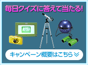 キャンペーン概要はこちら