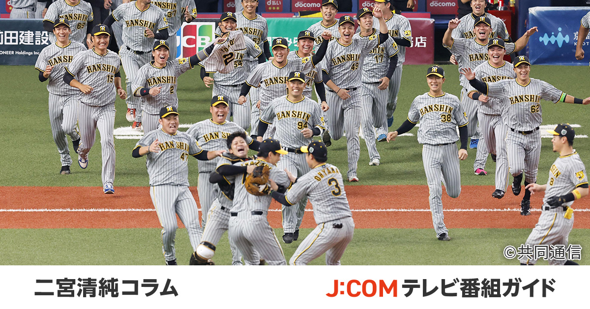 チケット8月31日(土)阪神対巨人戦２枚 - 野球