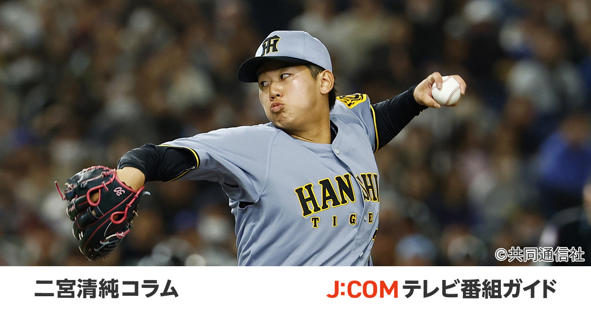 鴎人様、専用　2点 野球 玉澤 タマザワ 限定 硬式キャッチャーミット DELUXE FIELD