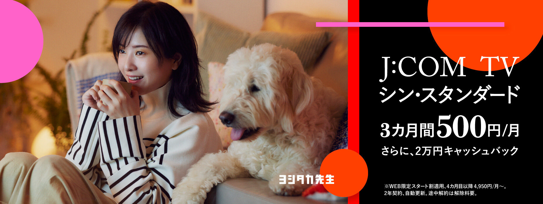 見る楽しさ。見つける楽しさ。シン・スタンダード3ヵ月間500円/月（税込）