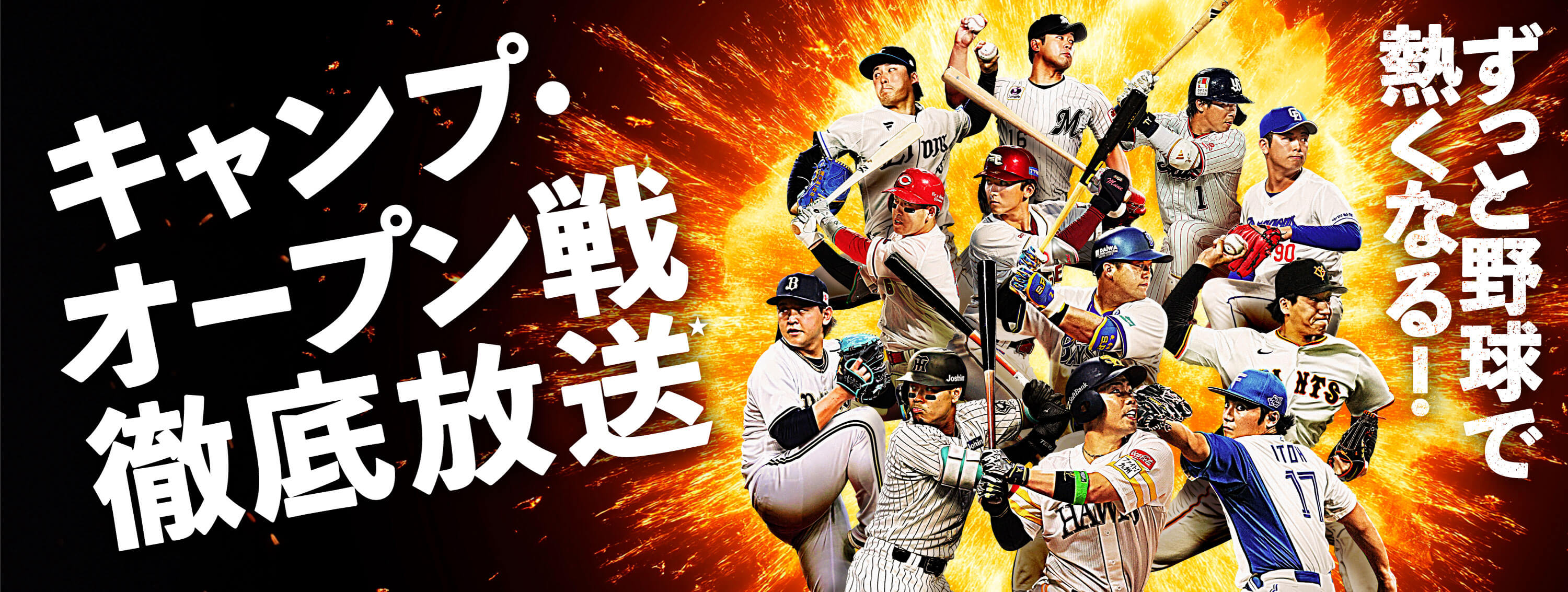 ずっと野球で熱くなる！ セ・パ12球団公式戦徹底放送 キャンプ・オープン戦も！