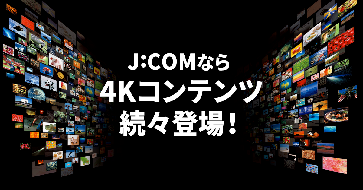 4k番組表 Jcomテレビ番組ガイド