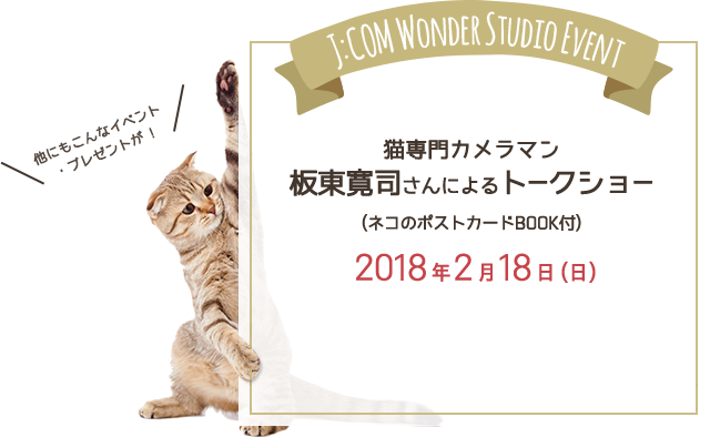 猫専門カメラマン 板東寛司さんによるトークショー(ネコのポストカードBOOK付)