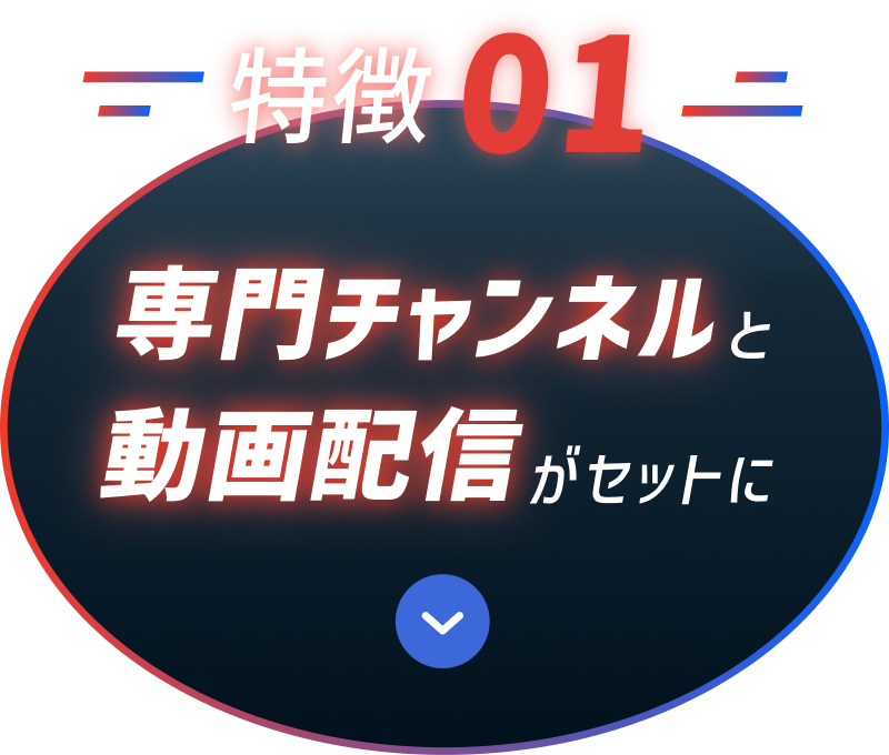 特徴01 専門チャンネルと動画配信がセットに