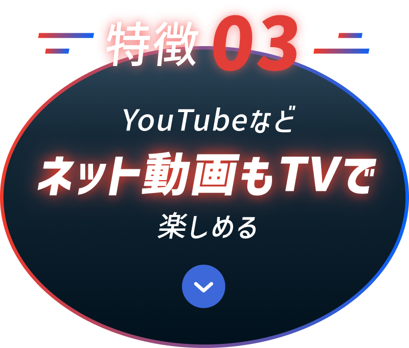 特徴03 YouTubeなどネット動画もTVで楽しめる