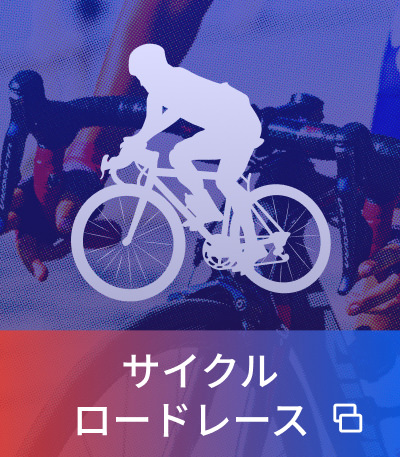 サイクルロードレース
