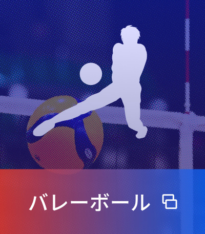 バレーボール