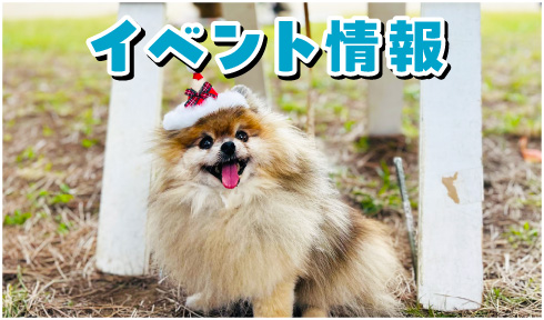 イベント情報