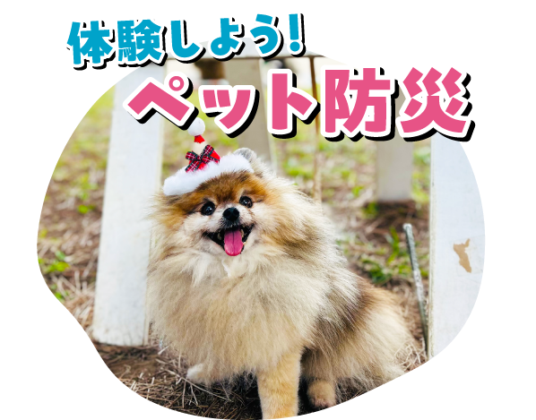 体験しよう！ペット防災