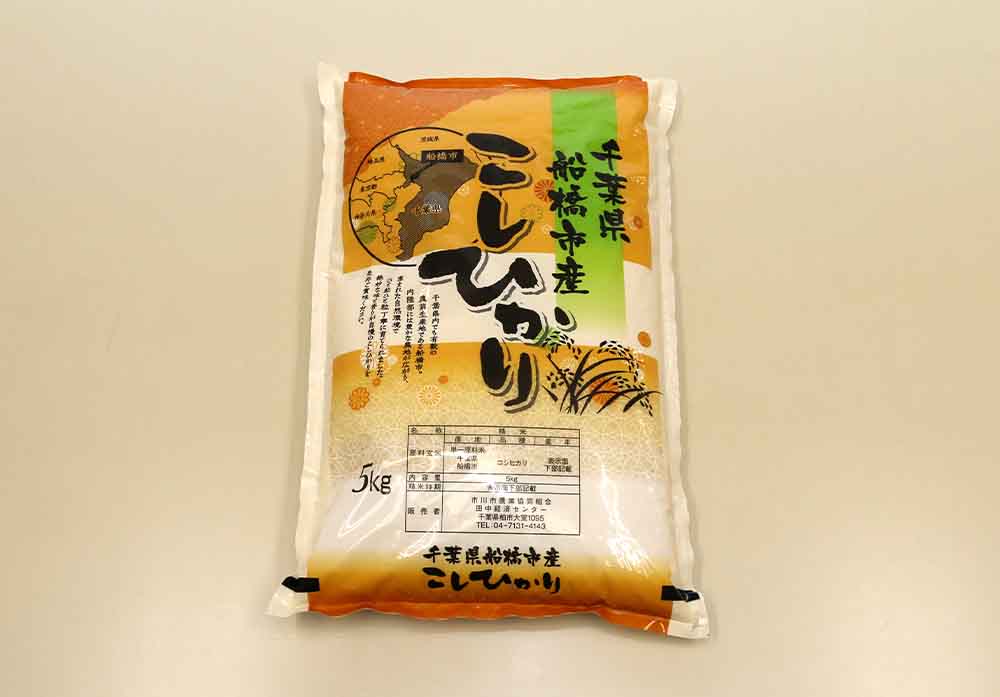 こしひかり