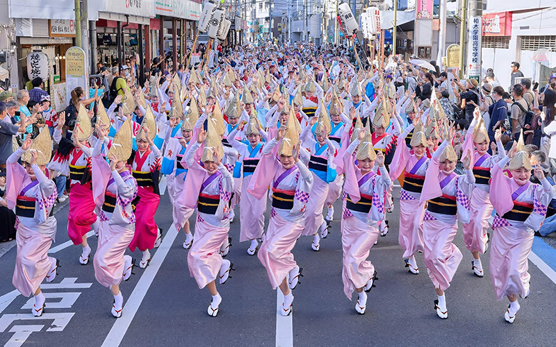 「総踊り」が見どころ!