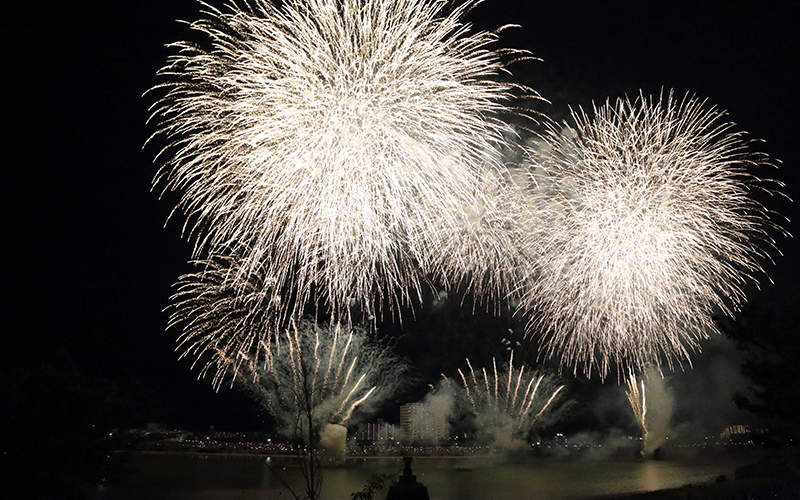 テレビならではの迫力ある映像で花火を満喫