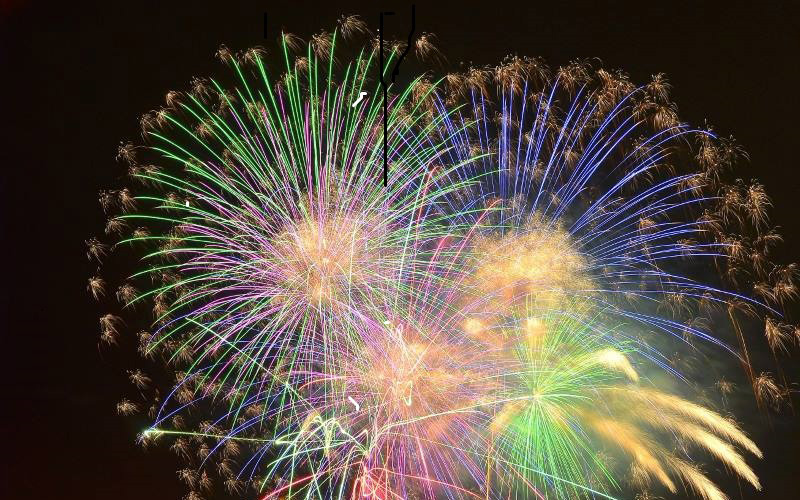 夜空に咲く豪華な光の競演