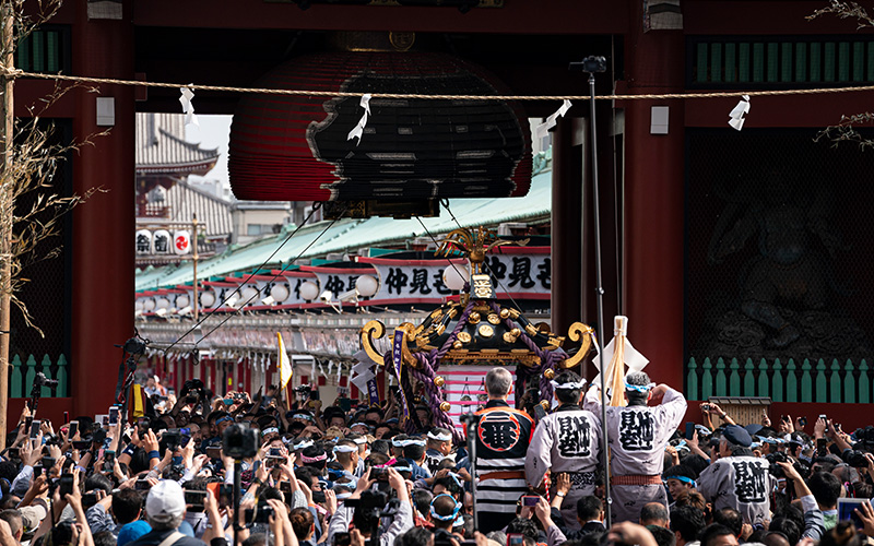 ○浅草神社 令和5年【三社祭】飛び出す神輿 参拝証 3種セット