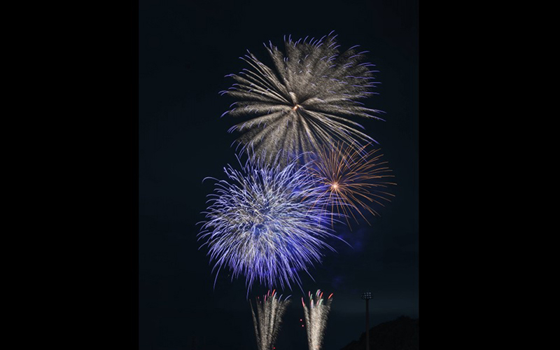 新川に映える5,000 発