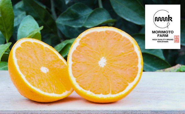 【特選】清見オレンジ5㎏