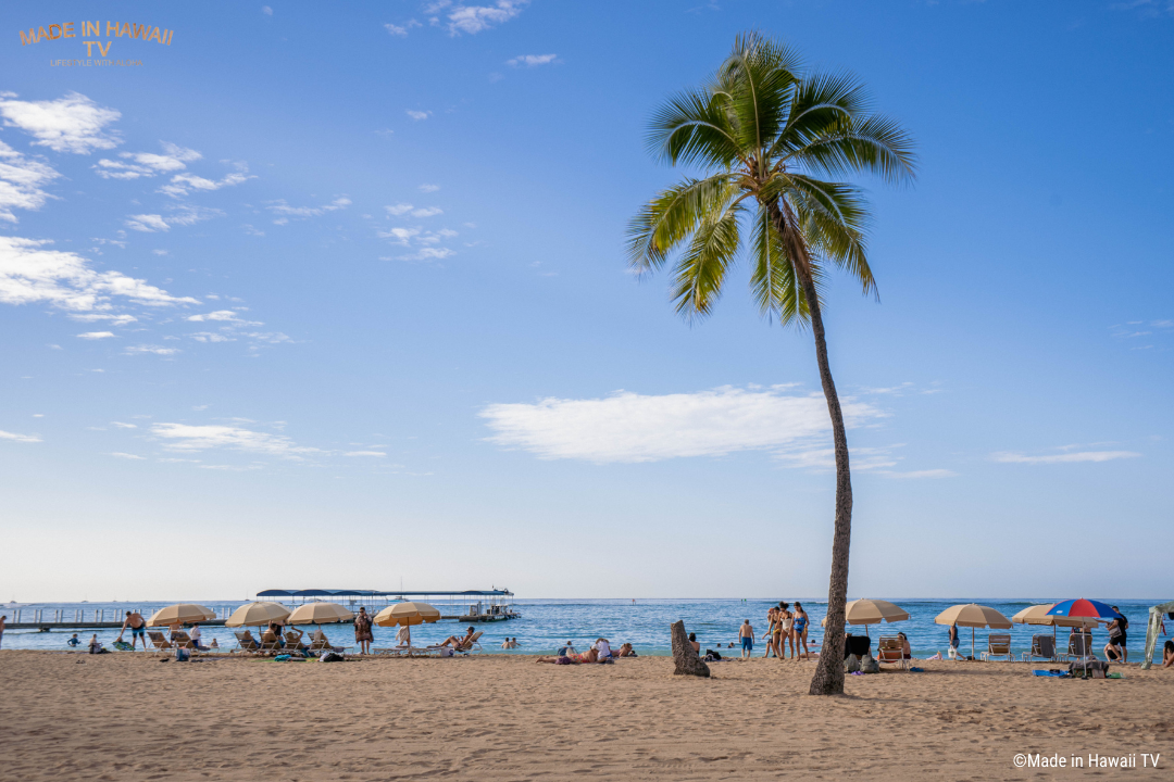 デューク カハナモク ビーチ