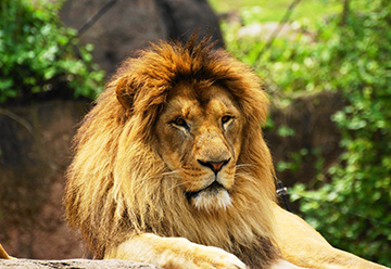天王寺動物園