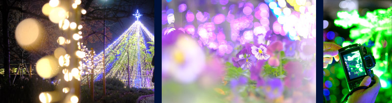 やまぐち千予さん撮影写真