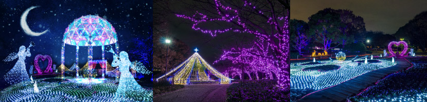 長居植物園　ガーデンイルミネーション2017　天空の花園