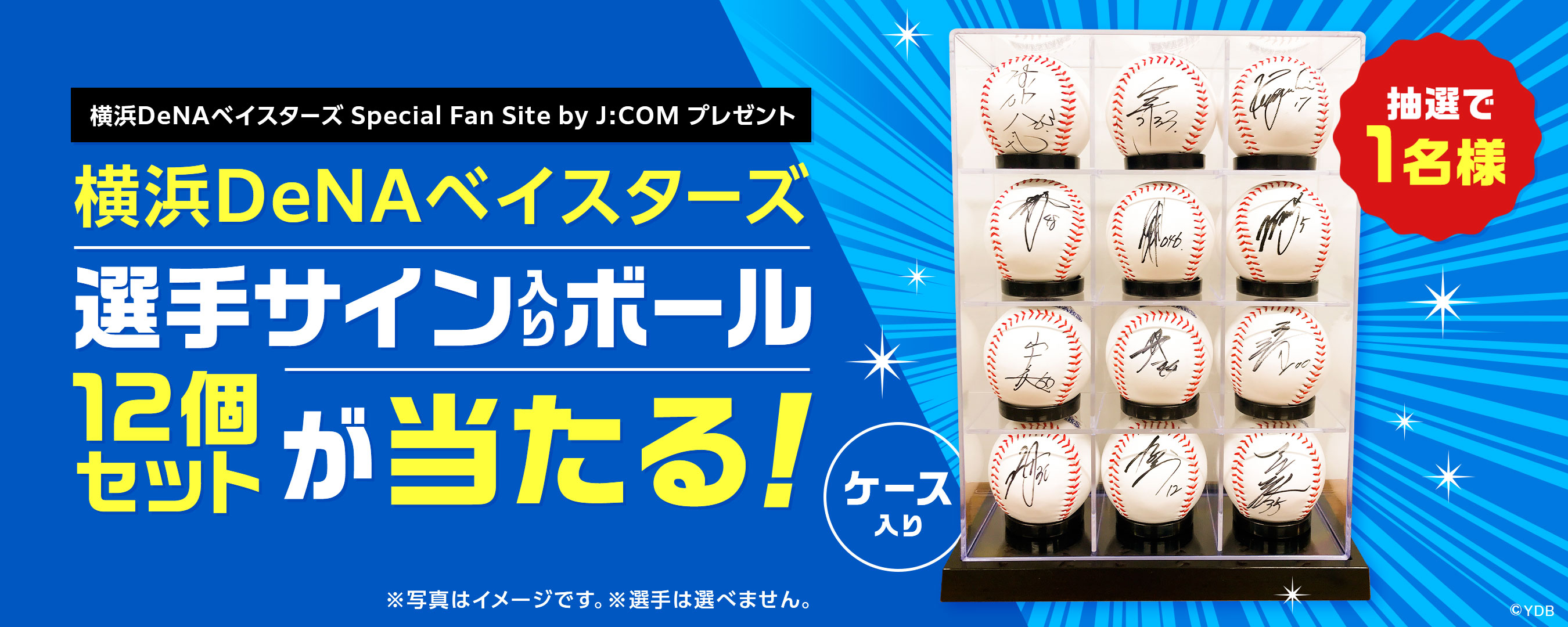 フォロー＆リツイートキャンペーン 横浜DeNAベイスターズ 選手サイン入りボールプレゼント 12個セットが当たる！