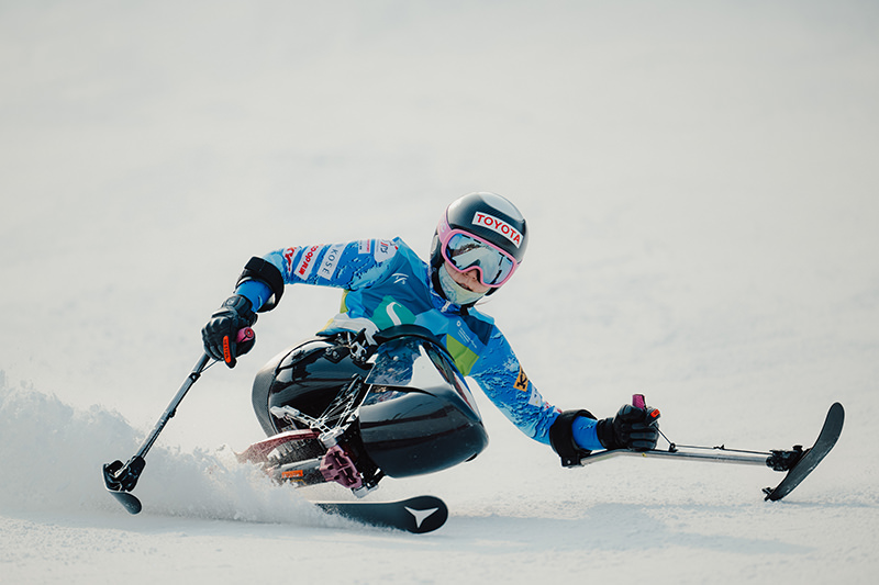 パラアルペンスキー