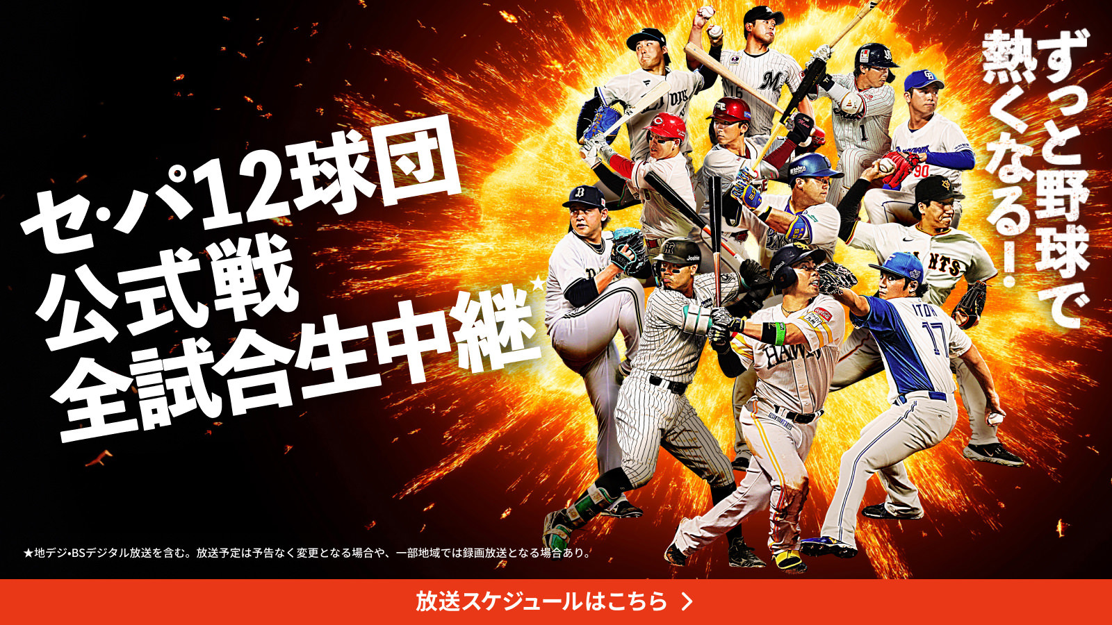 プロ野球 キャンプ中継