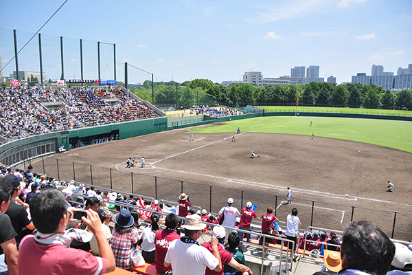 テレビ･動画でみる