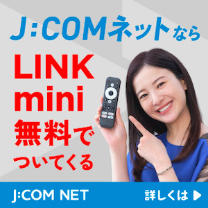 テレビでネット動画が楽しめるJ:COM LINK mini