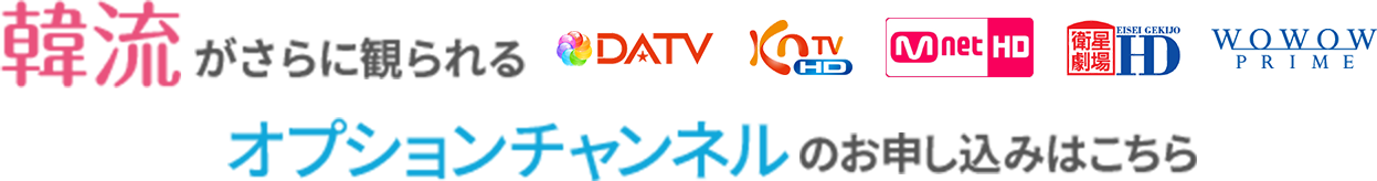 韓流がさらに観られるオプションチャンネルのお申し込みはこちら DATV KNTV HD Mnet HD 衛星劇場HD WOWOWプライム