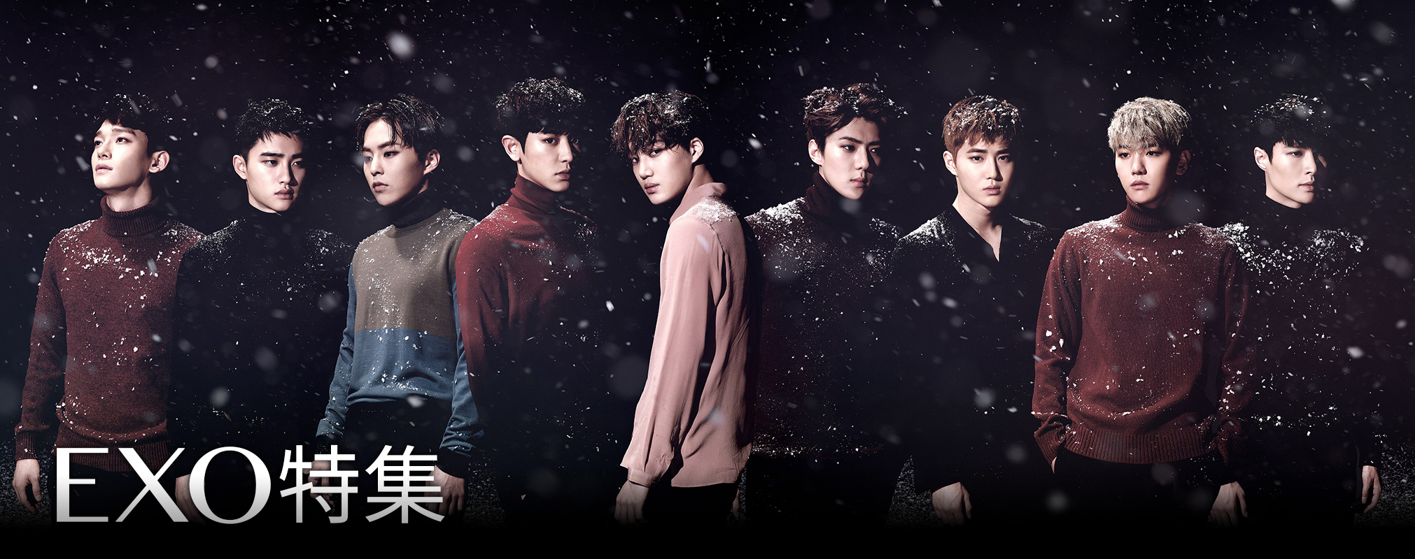 EXO特集