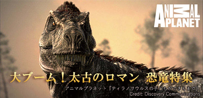 大ブーム!太古のロマン 恐竜特集