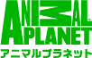 animal planet
