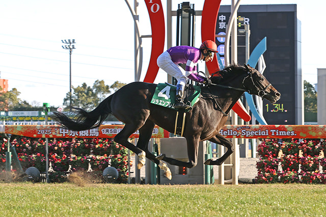 中央競馬全レース中継【日刊スポーツ賞シンザン記念（GⅢ）】