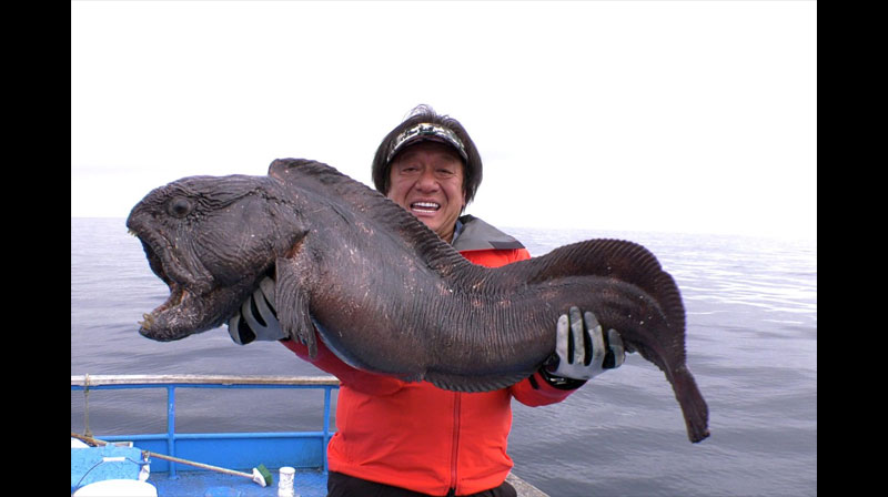 魚種格闘技戦！