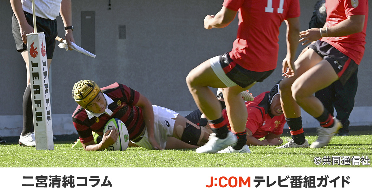 Amazon.co.jp: 早稲田大学ラグビー部大学選手権優勝記念Tシャ