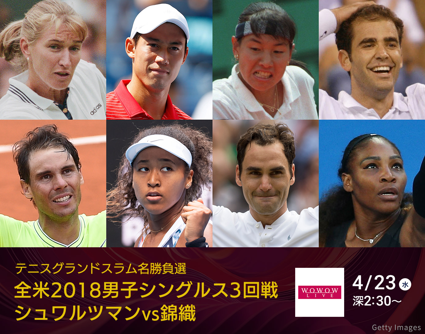 テニスグランドスラム名勝負選　全米2018 男子シングルス3回戦 シュワルツマンvs錦織