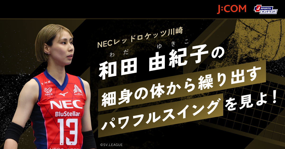 NECレッドロケッツ川崎 #13和田由紀子 アクスタ トレカ NECレッド