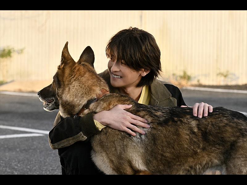 少年と犬
