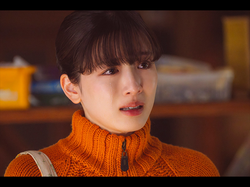 かくかくしかじか