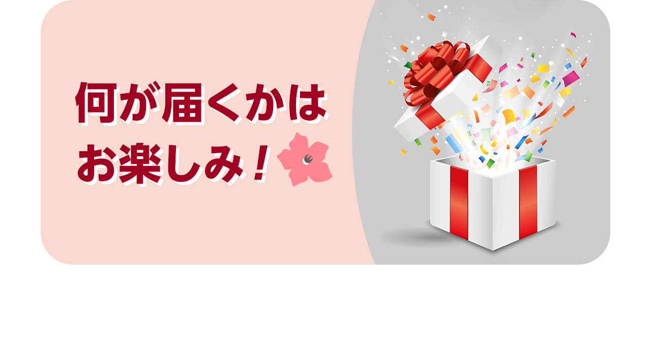 何が届くかはお楽しみ！
