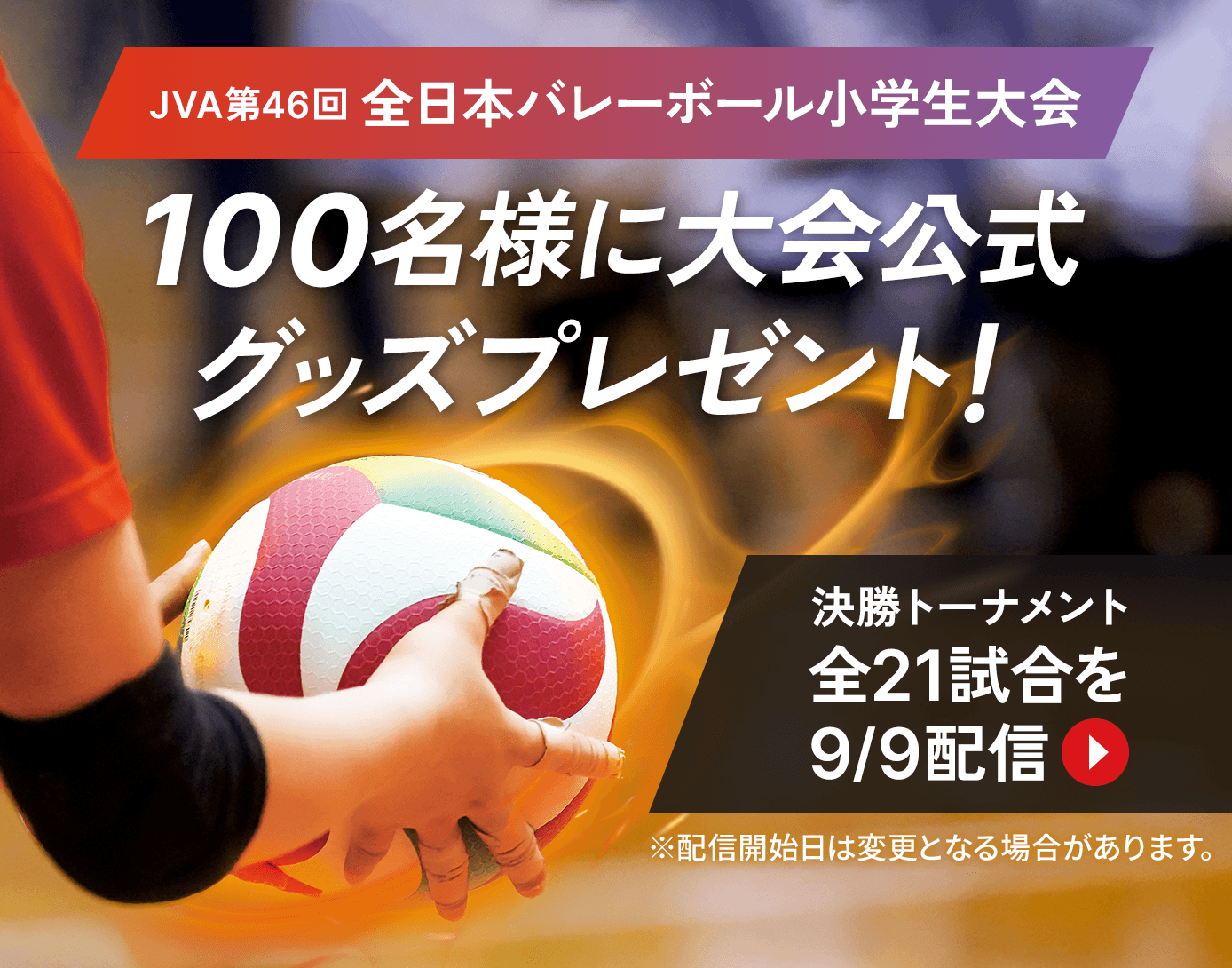 バレーボールを通じた次世代支援