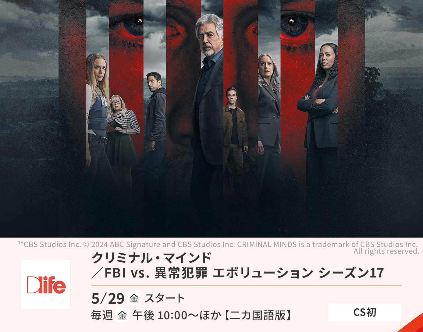 クリミナル・マインド / FBI vs. 異常犯罪エボリューション シーズン17