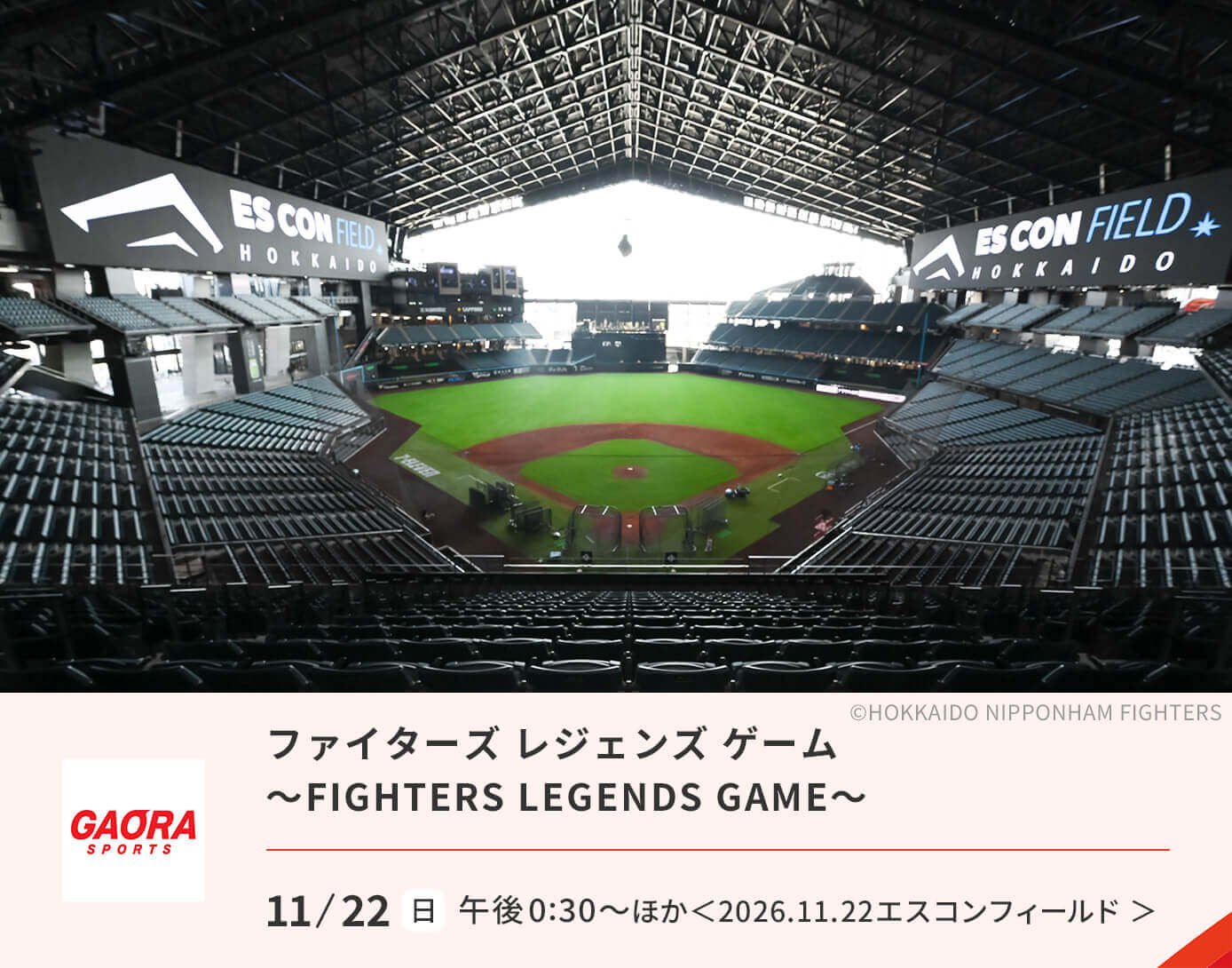 FIGHTERS LEGENDS GAME ファイターズ レジェンズゲーム