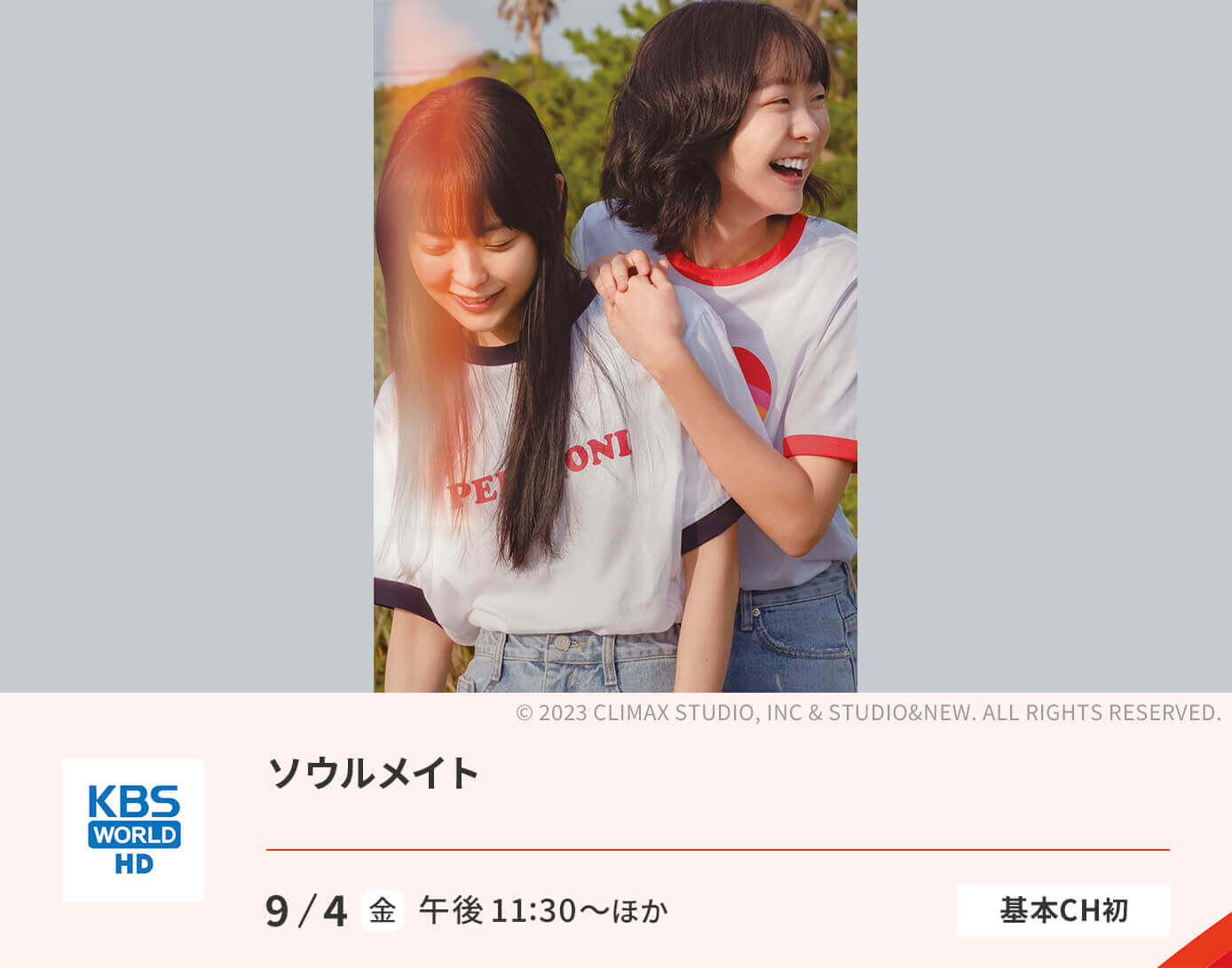 ソウルメイト