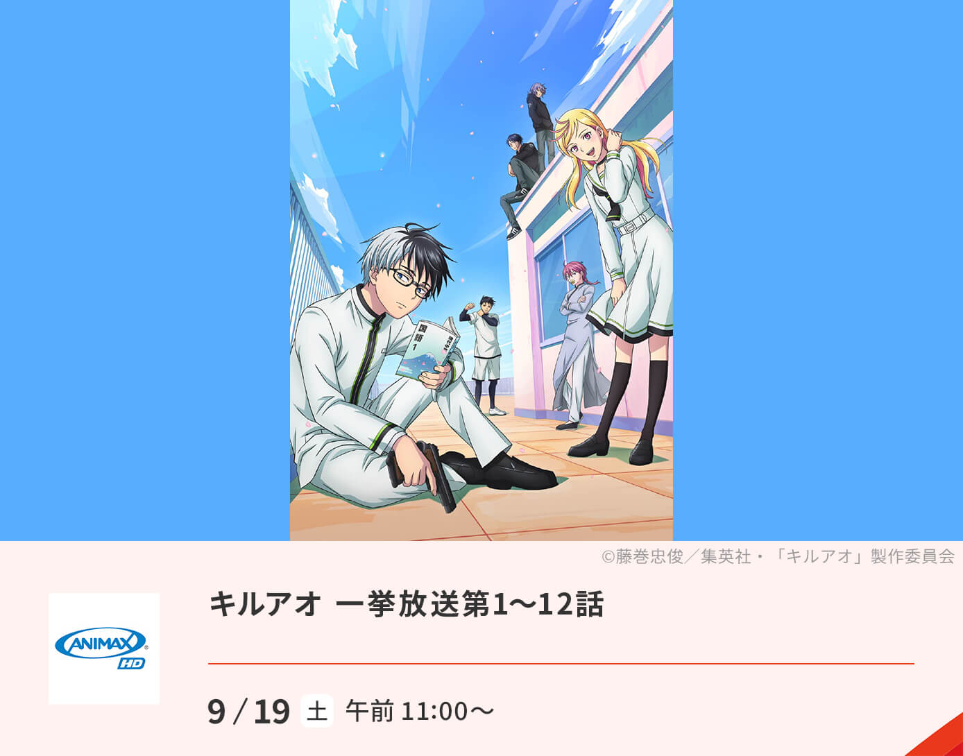 キルアオ