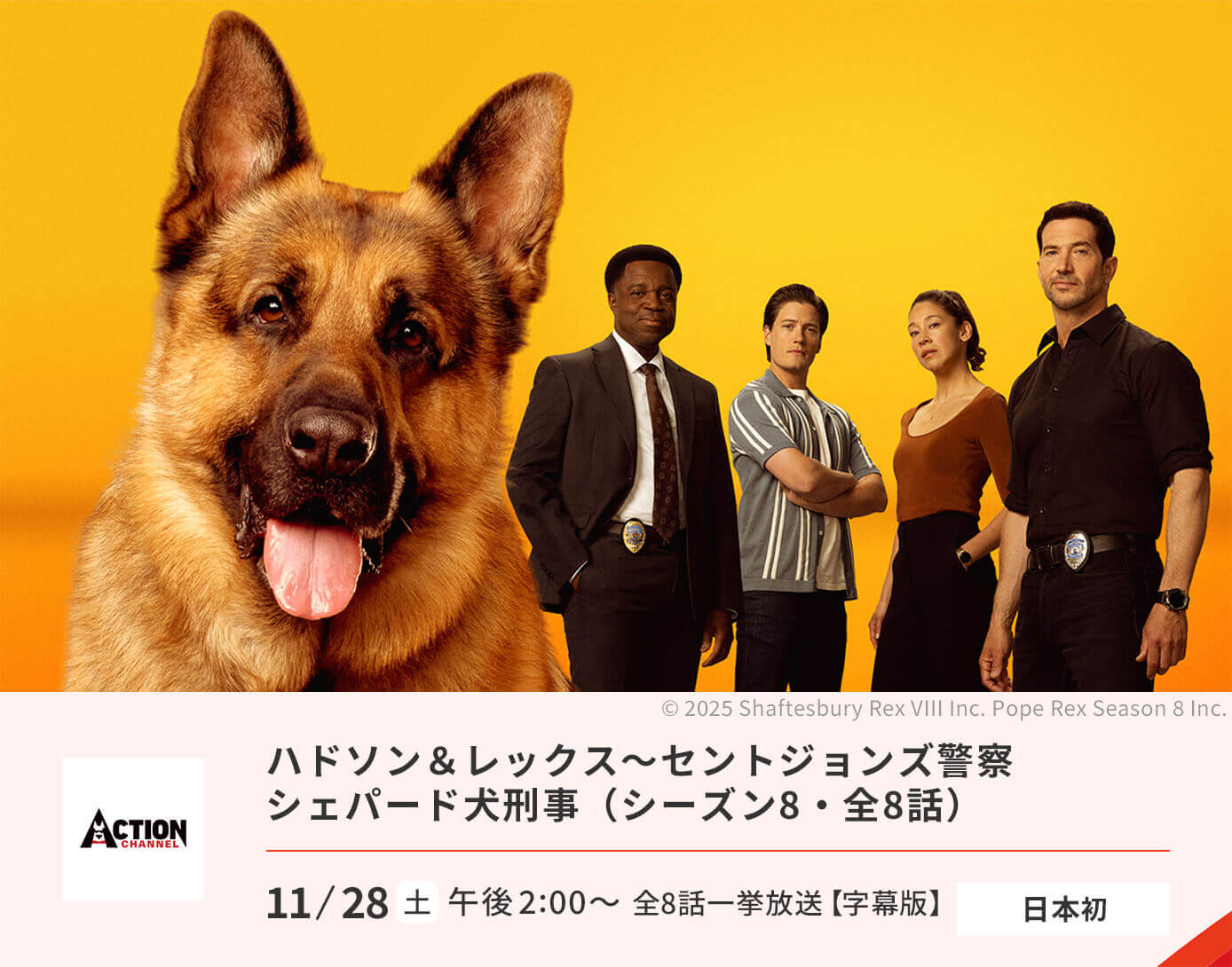 ハドソン＆レックス～セントジョンズ警察シェパード犬刑事（シーズン8)
